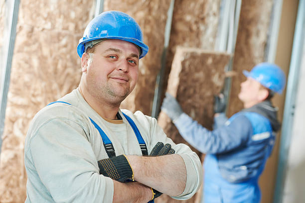 Best Eco-Friendly Insulation Solutions  in York, AL